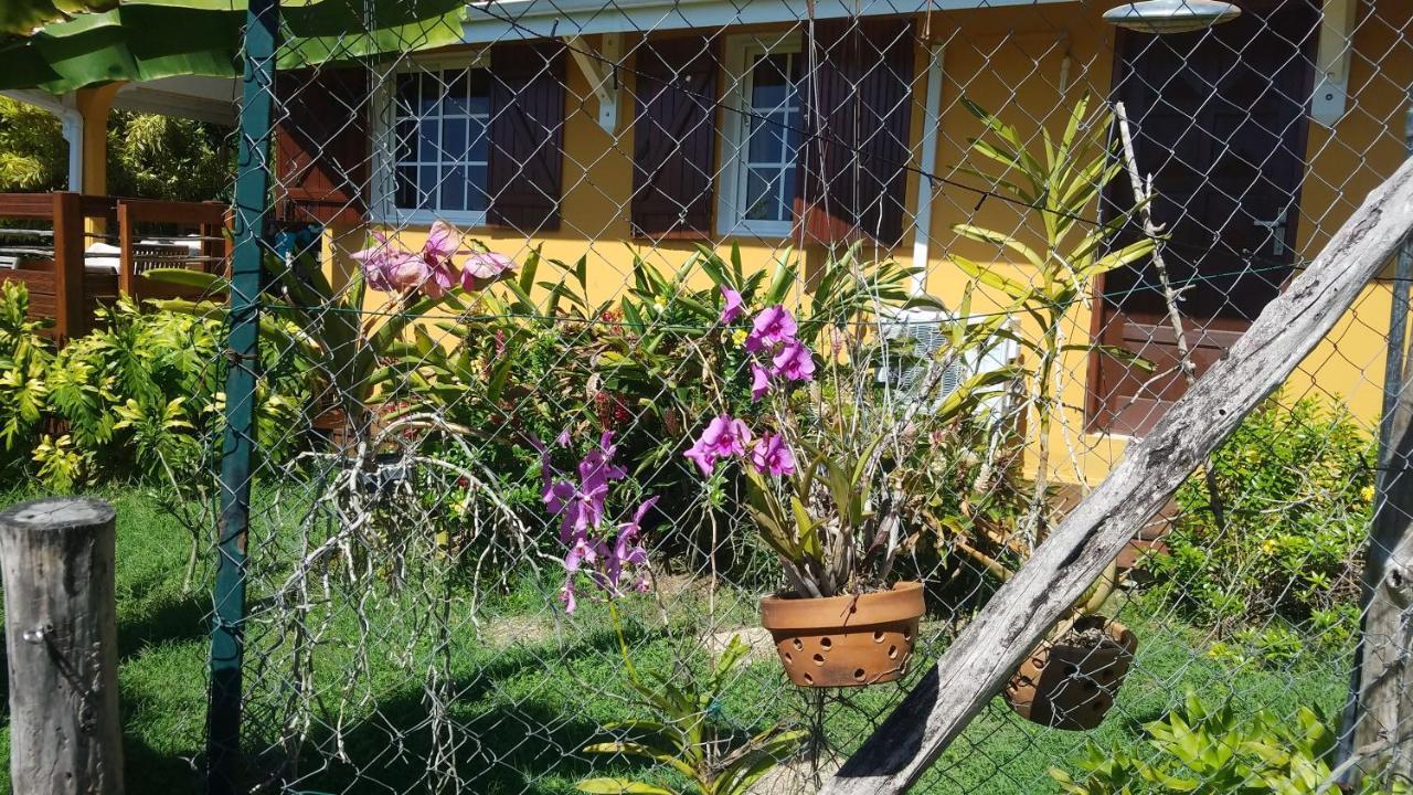 Kreyol Lodges - Suite Kayou Deshaies Bagian luar foto